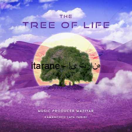 مازیار The Tree Of Life